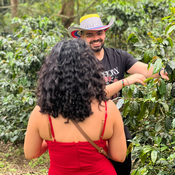 Hombre y mujer cosechando café.