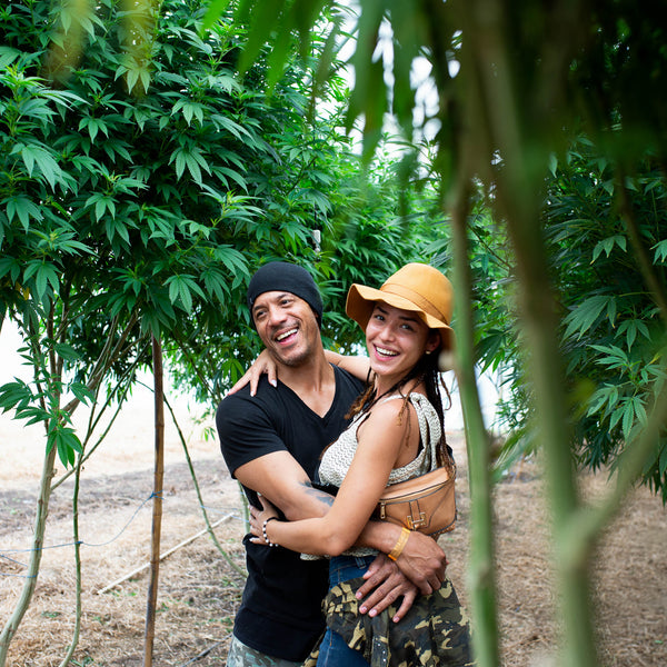 Pareja en medio del cultico de cannabis 