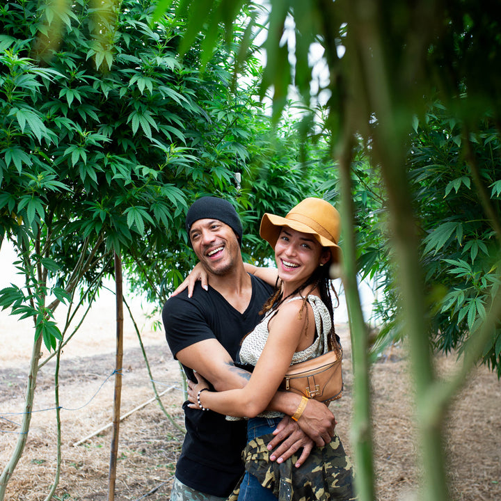 Pareja en medio del cultico de cannabis 