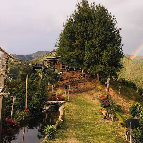 Hermosa casa en la loma.